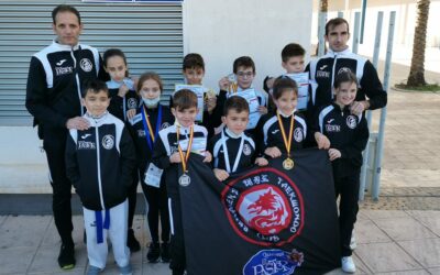 Tres oros, cuatro platas y dos bronces en el Campeonato de España de Taekwondo por clubes